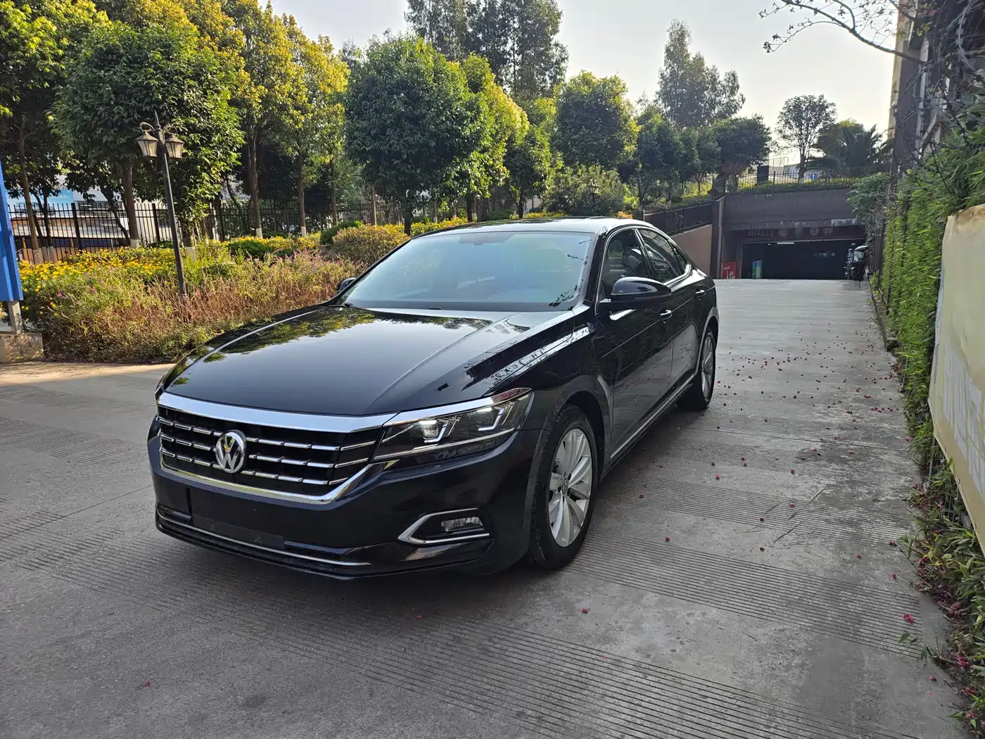 Volkswagen Passat 2020 330TSI Elite Edition China VI