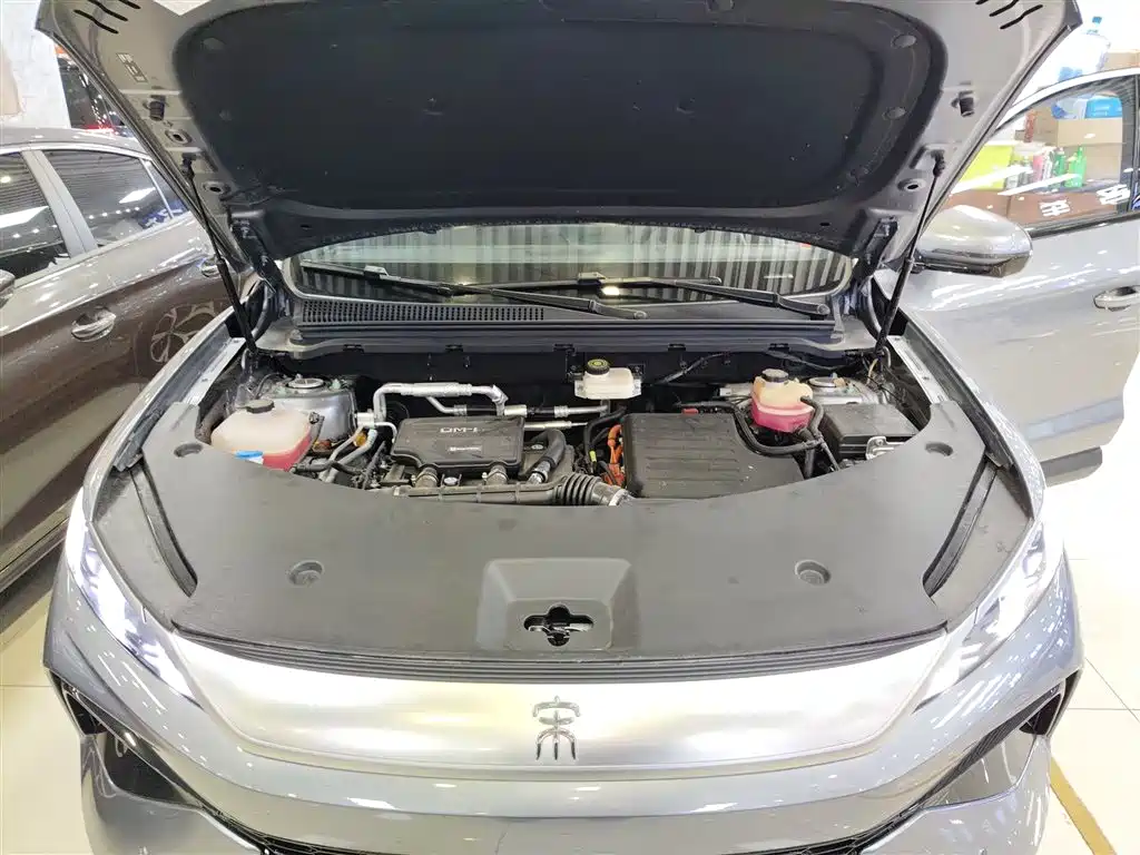 BYD Song Pro New Energy 2025 2nd Generation Smart Driving Edition DM-i 115KM Excellence Type фото 20