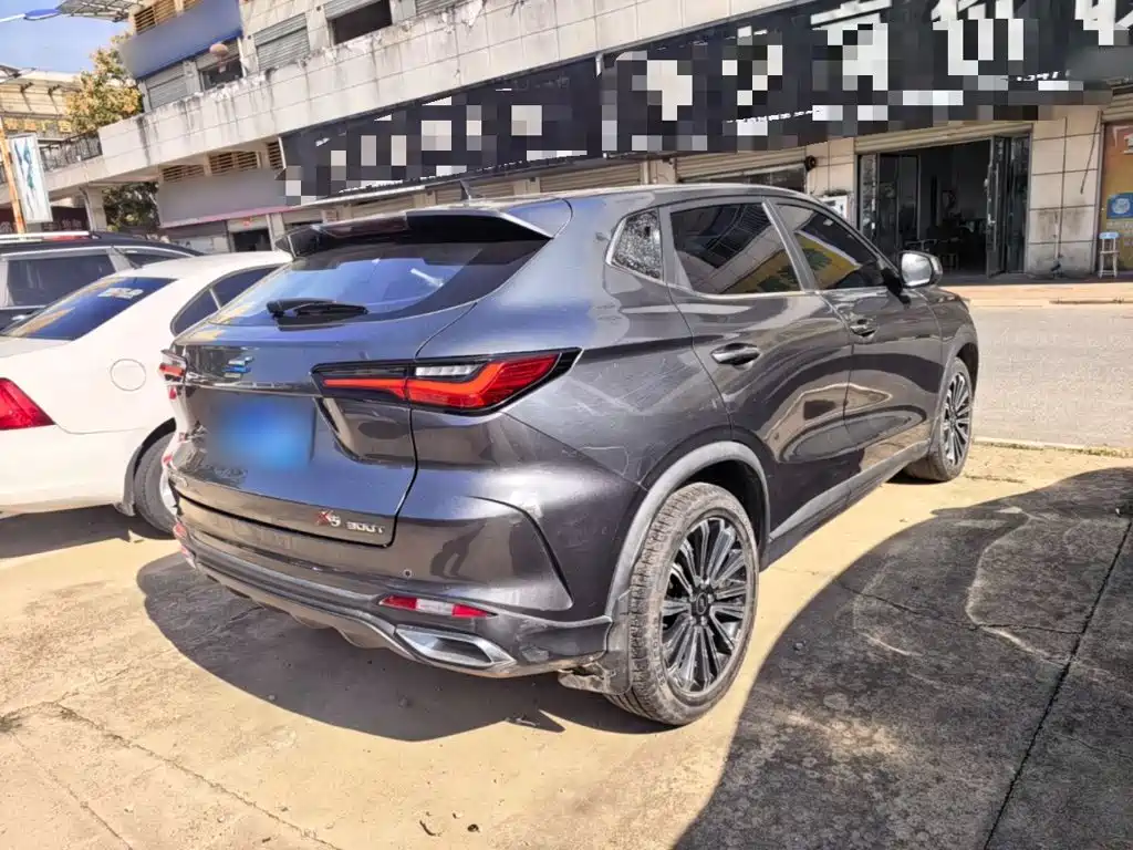 Фото 7 - Changan Oshan Changan Oushang X5