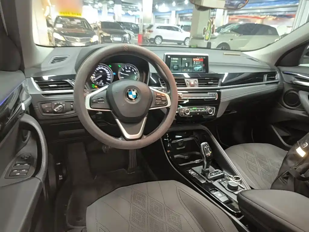 BMW X2 (Import) 2019 2019 sDrive20i M Off-Road Package China VI