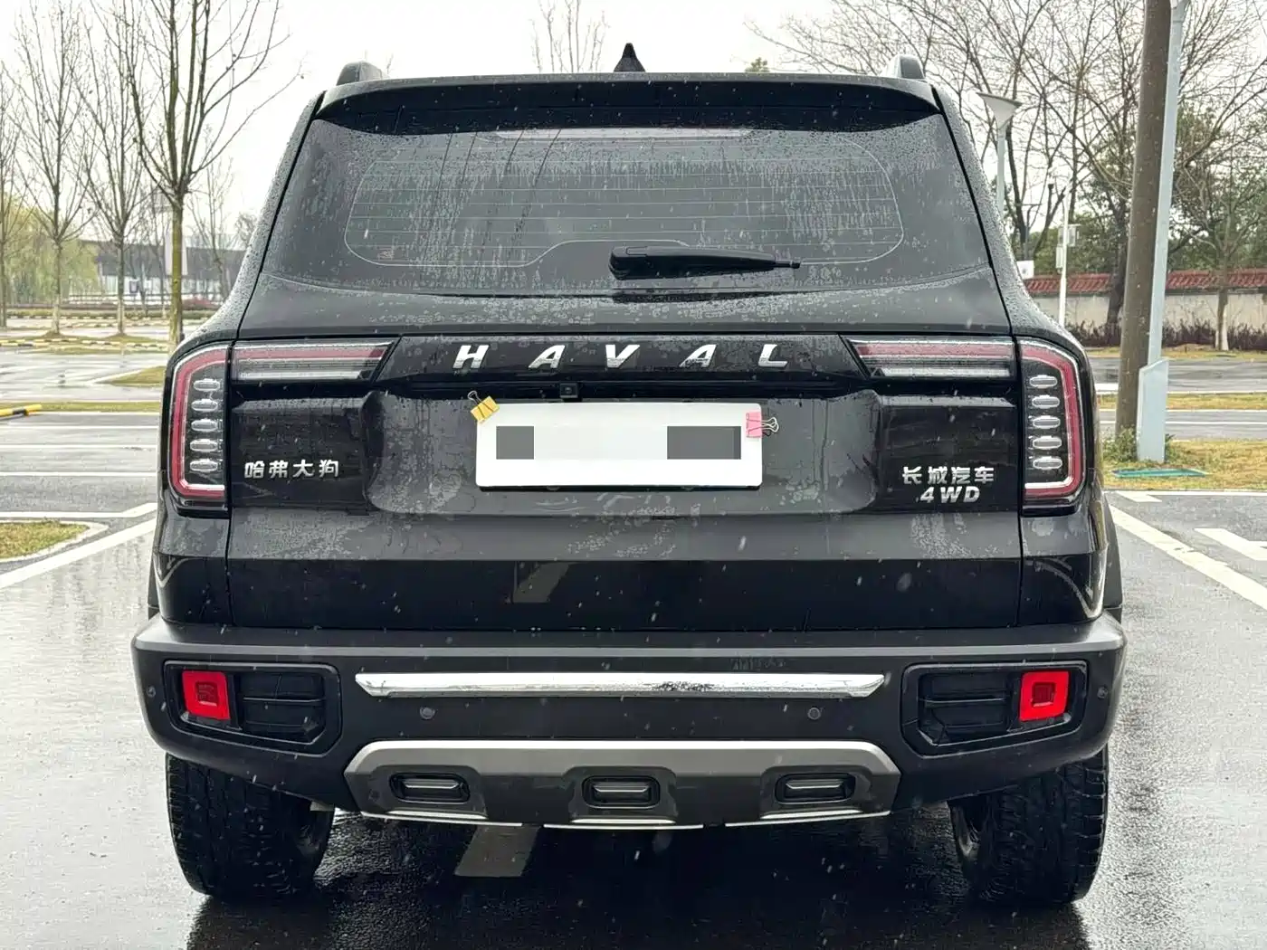 HAVAL BIG DOG