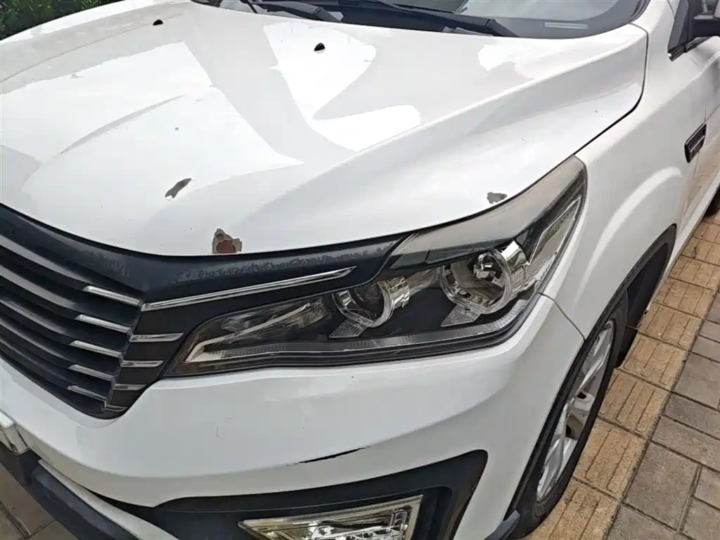 Bisu Auto Bisu T5 2017 2017 1.5T Manual Premium