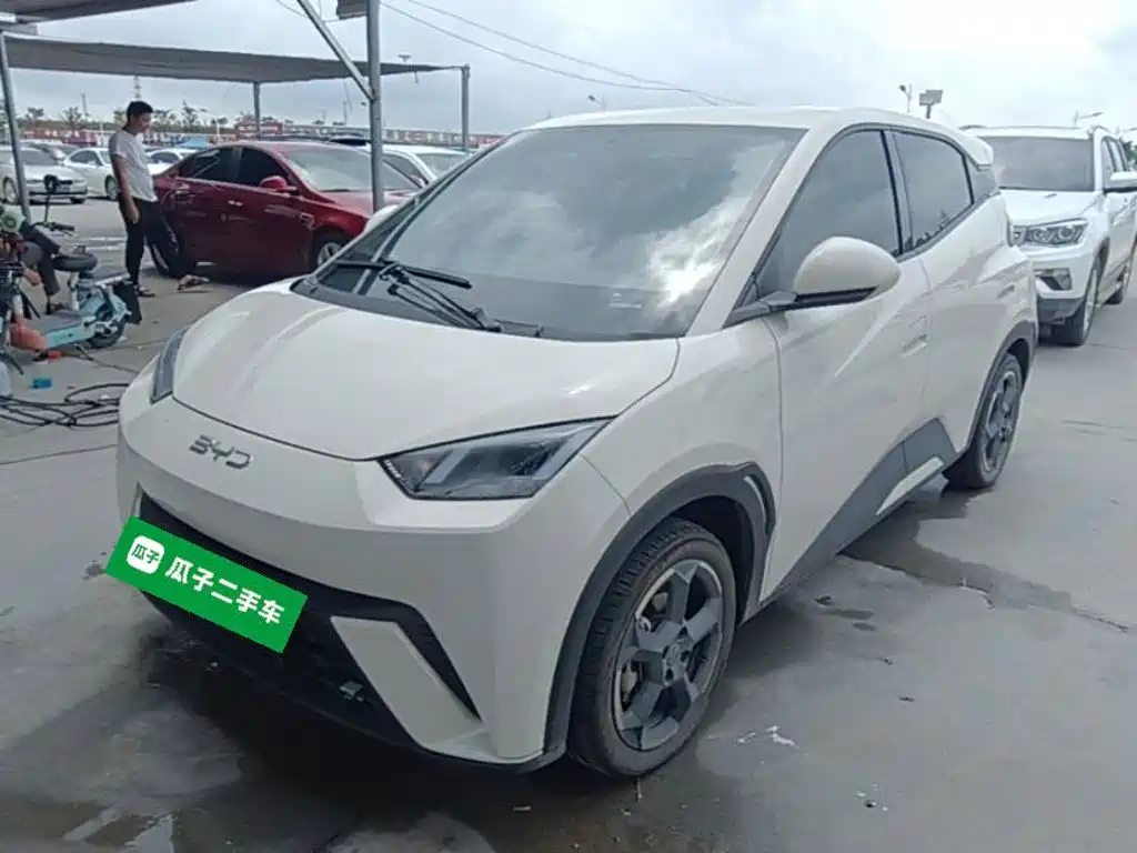 BYD Seagull 2024