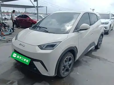 BYD Seagull