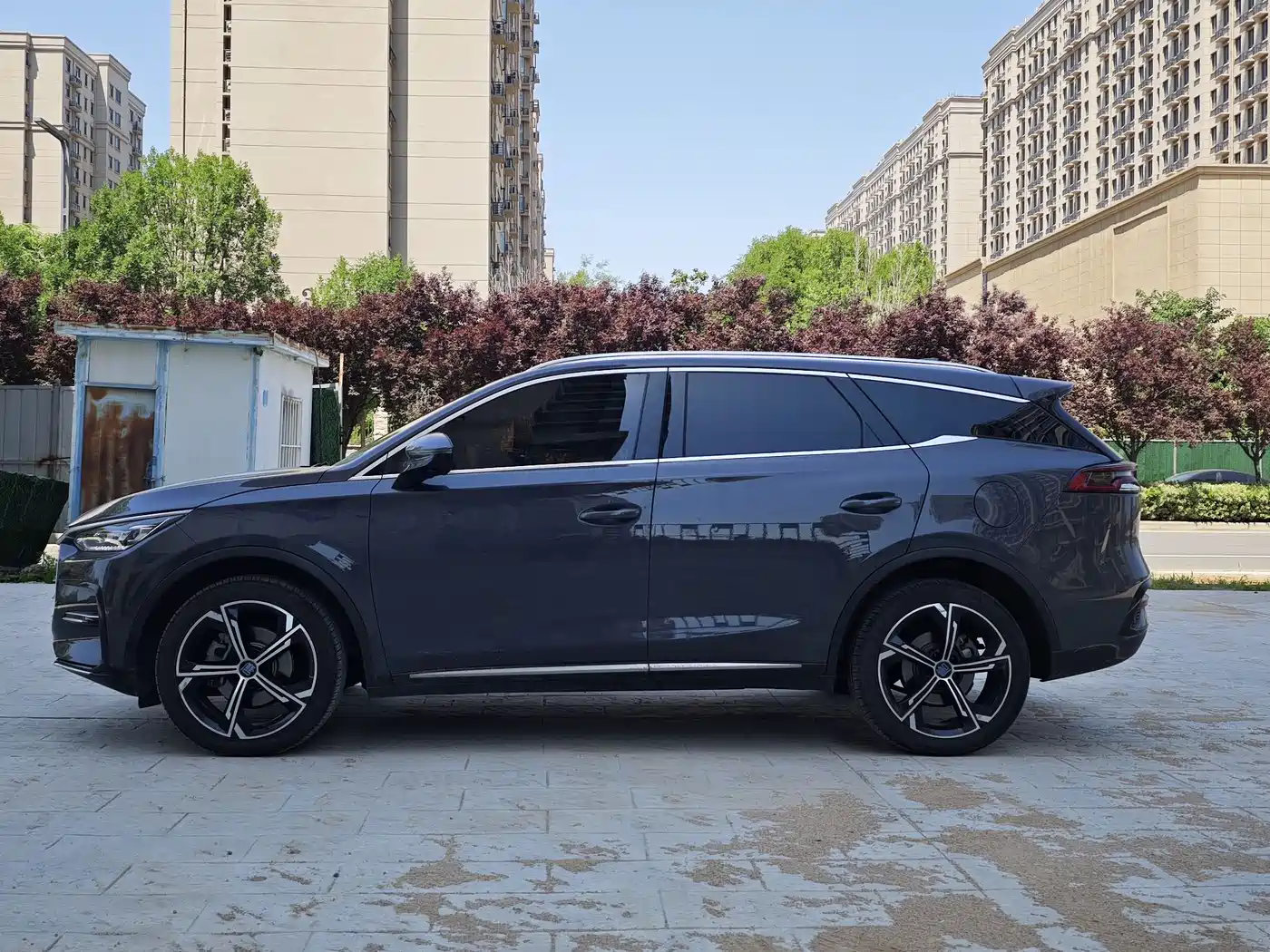 BYD Tang New Energy 2021 DM-i 112KM Premium фото 7