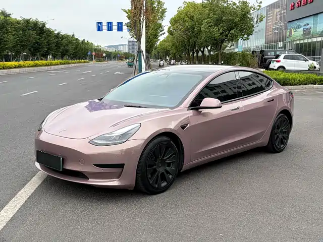 Tesla Model 3 2021 Standard Range Rear-Wheel Drive Upgrade