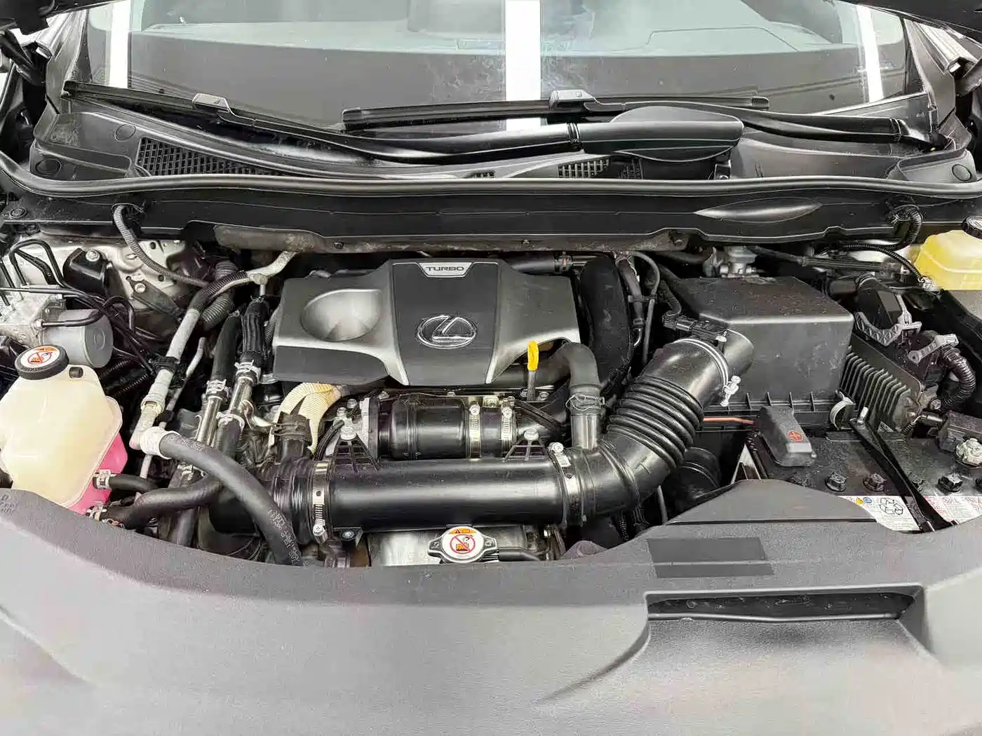 Lexus RX 2020 300 2WD Comfort Edition China VI фото 22