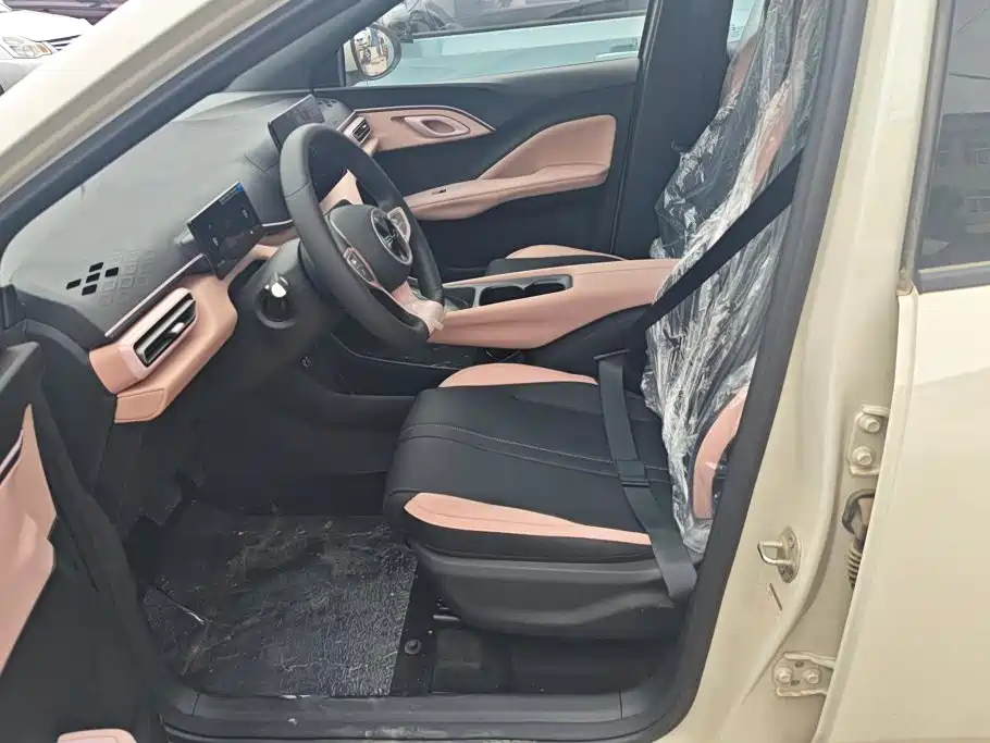BYD Seagull 2026 2025 Smart Drive Edition 305km Vitality Version