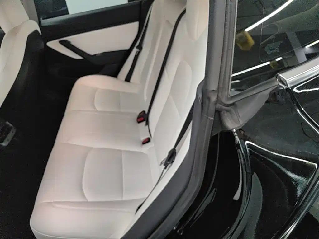 Tesla Model 3 (Import) 2020 2019 Long Range All-Wheel Drive Edition
