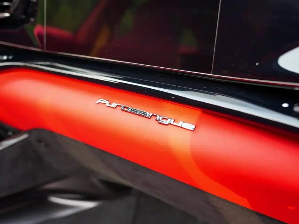 صورة 15 - Ferrari Purosangue