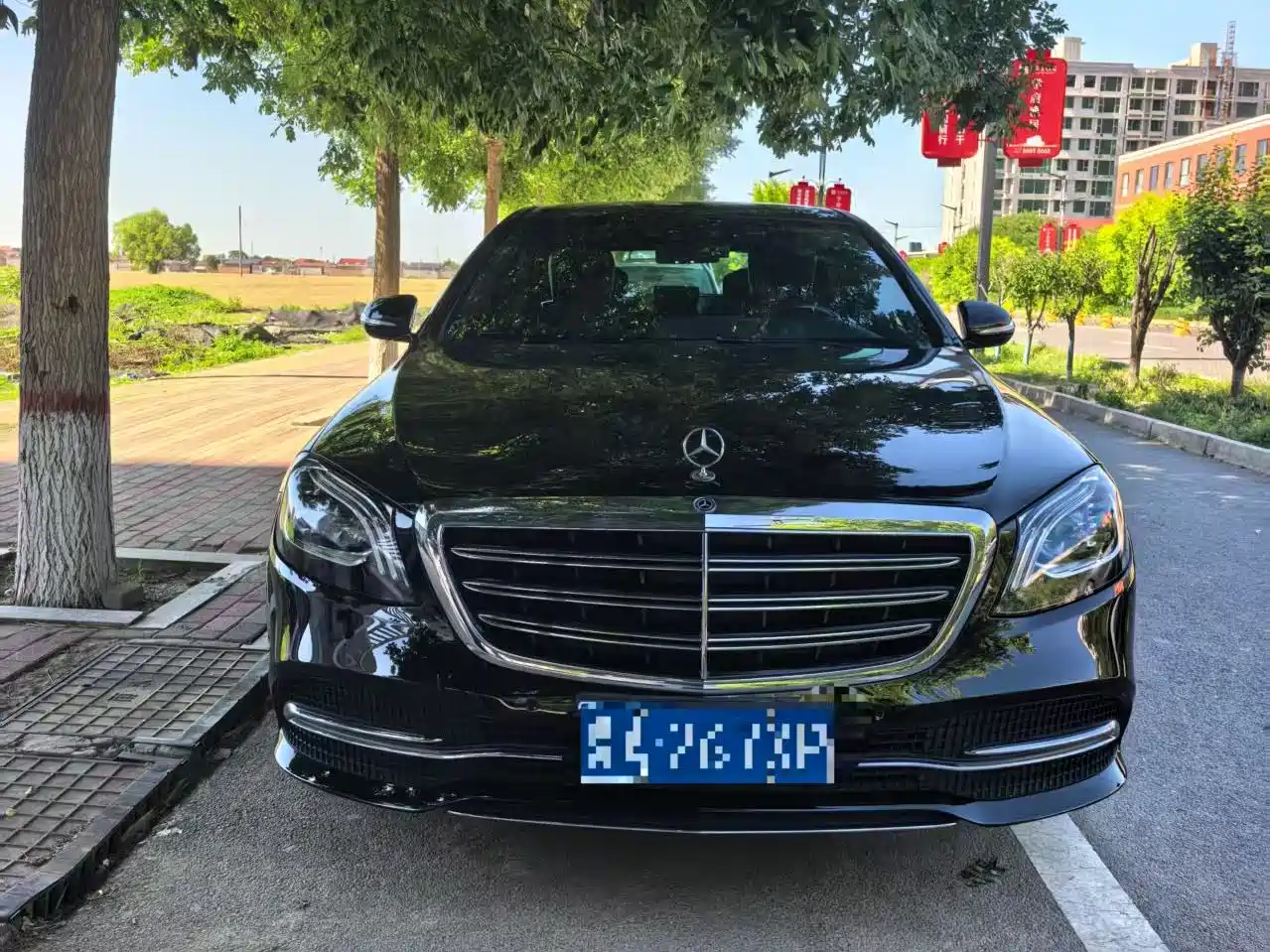 Mercedes-Benz S-Class 2019 S 350 L Premium фото 2