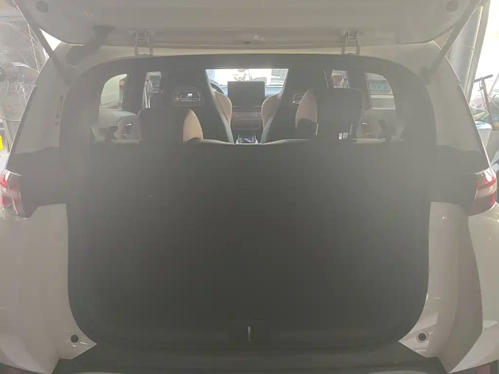 BYD Seagull 2026 2025 Smart Drive Edition 305km Freedom Version