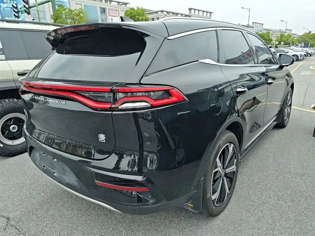 BYD Tang New Energy 2022 EV 730KM Premium фото 7