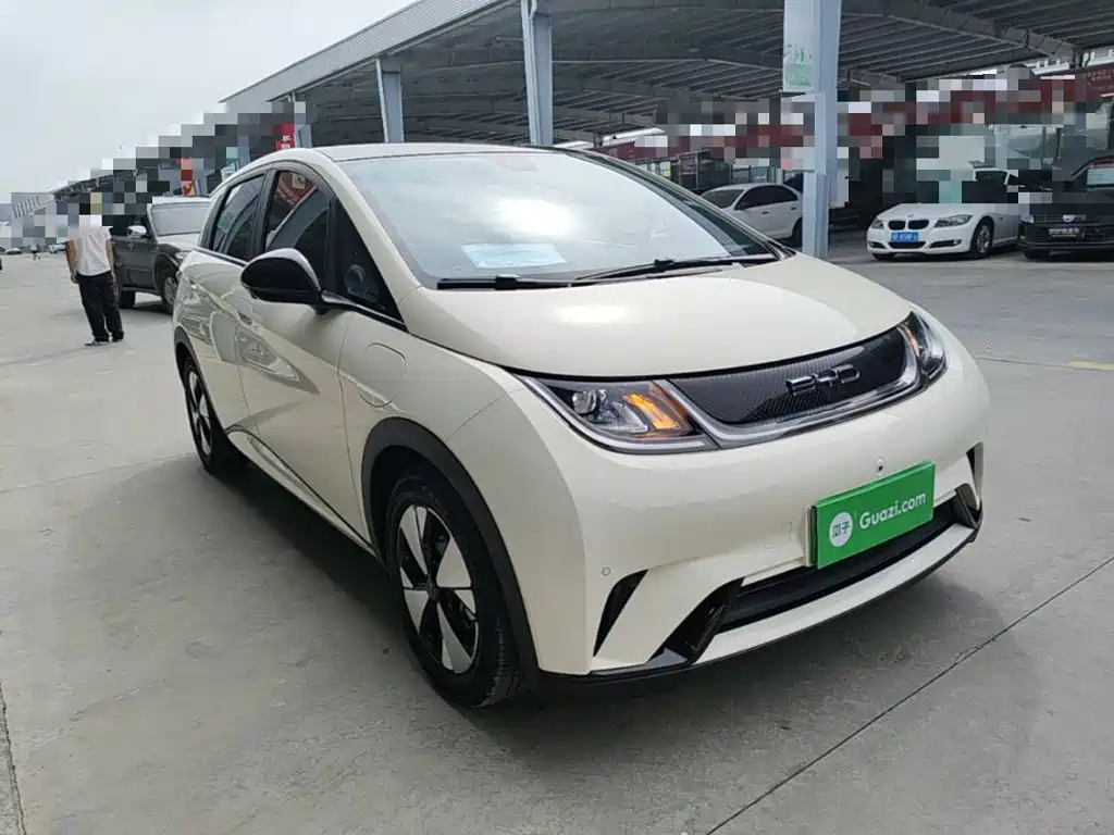 Фото 4 - BYD Dolphin