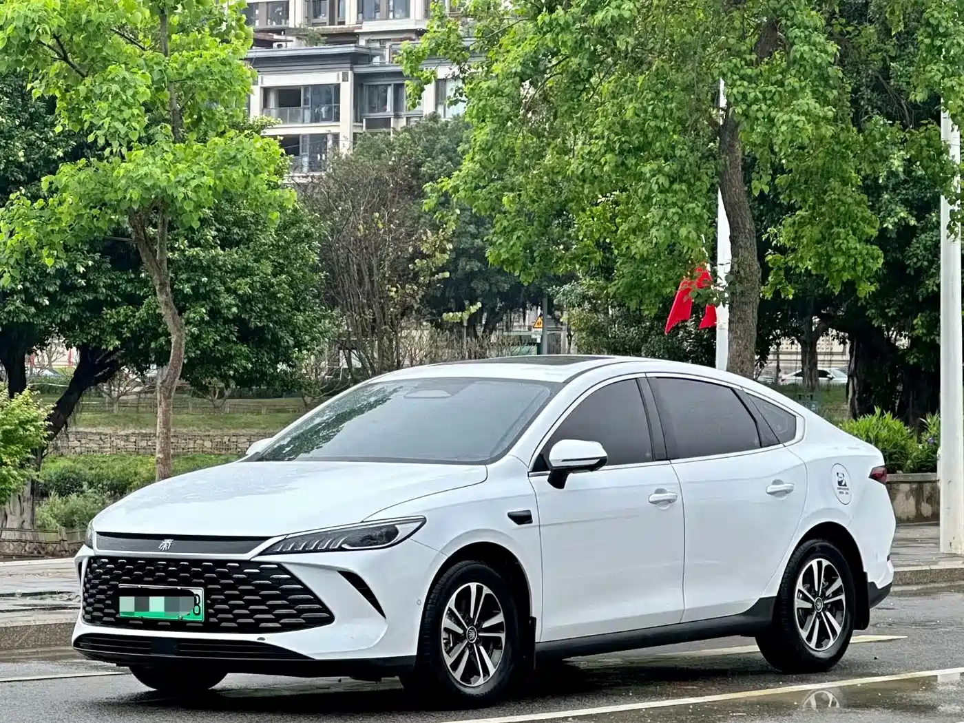 BYD Qin PLUS 2025 DM-i Smart Drive Edition 55KM Surpassing Type