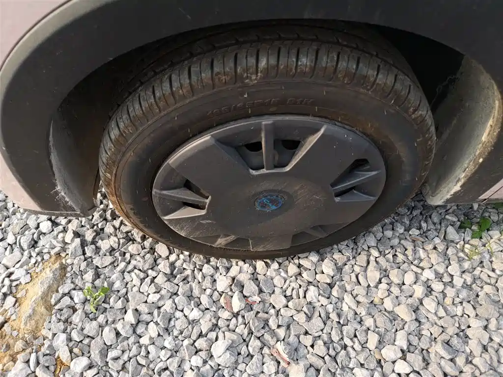 BYD Seagull 2025 Smart Drive Edition 305km Vitality Version фото 23
