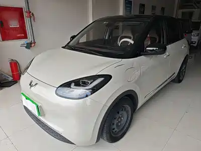 Wuling Bingo