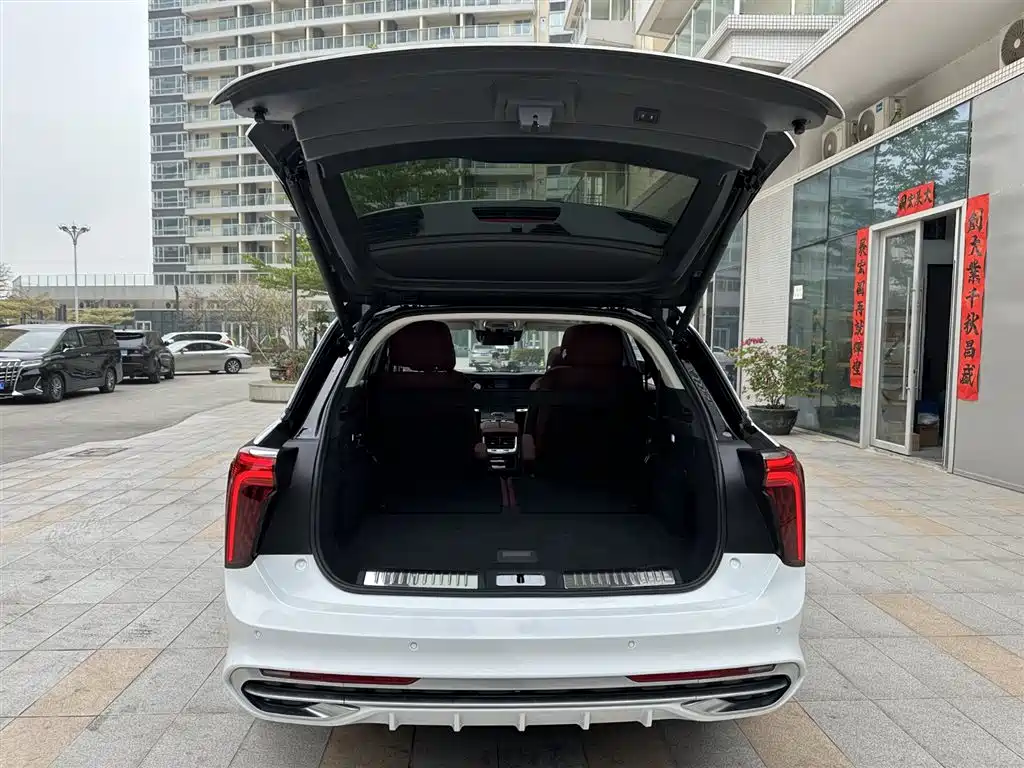 Hongqi E-HS9 2022 660km Qi Chang Edition (6-seater) фото 26