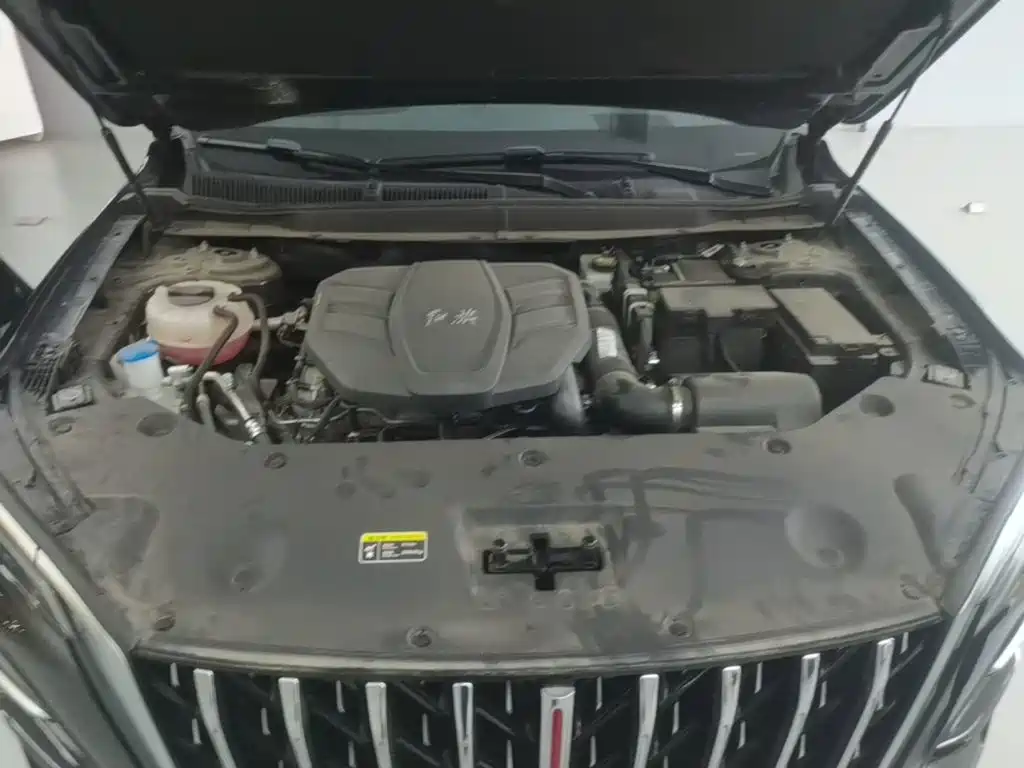 Hongqi HS5 2025 2025 2.0T 2WD Qixiang Pro