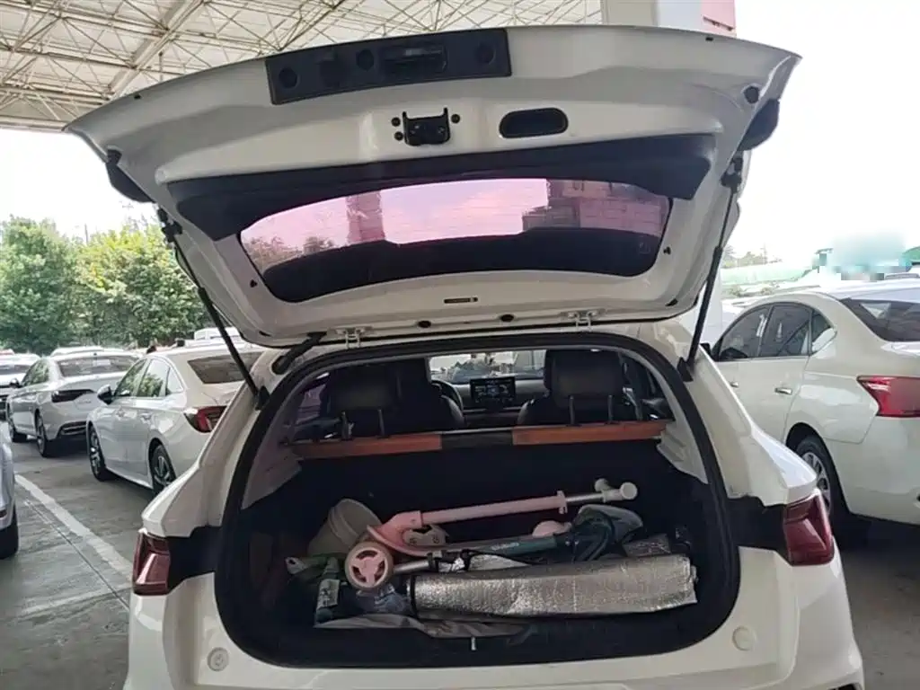BYD e2 2021 Luxury Edition фото 19