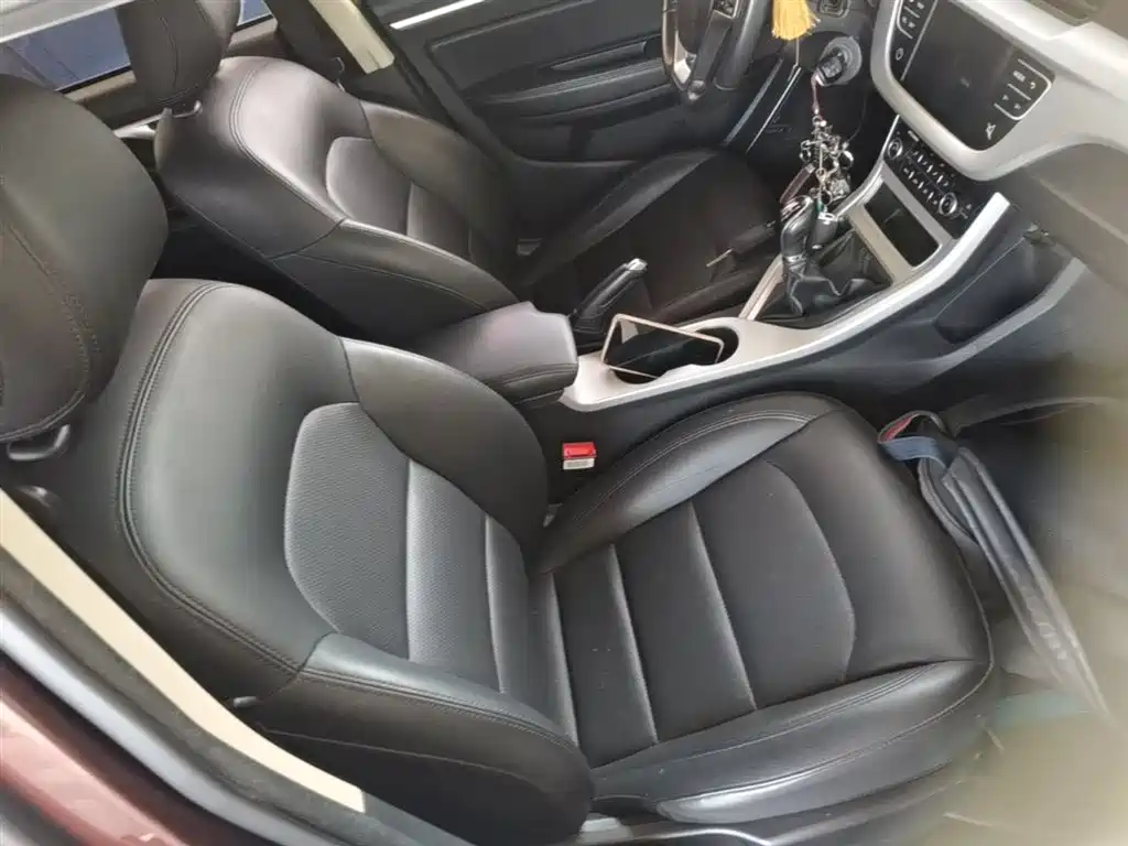 Фото 25 - Geely Vision