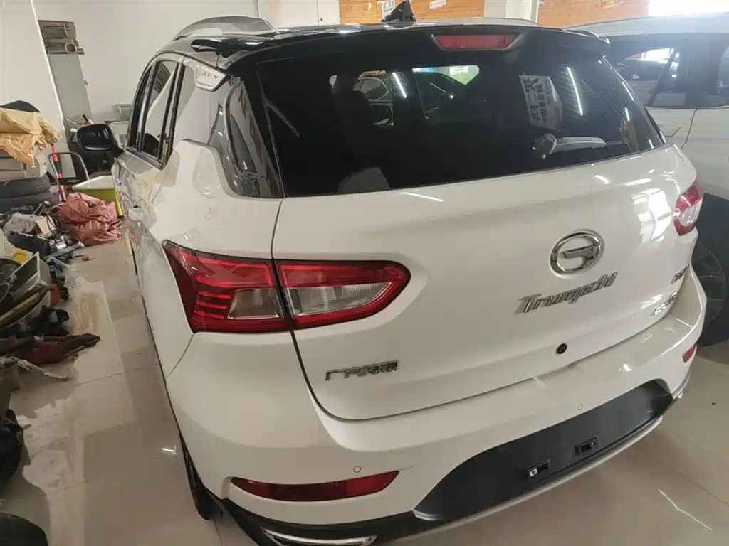 GAC Trumpchi Trumpchi GS4 2016 235T G-DCT Luxury Edition фото 5