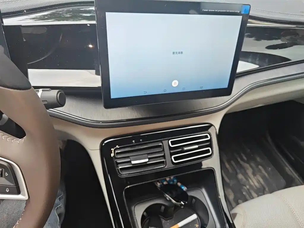 BYD Qin PLUS 2024 Glory Edition DM-i 55KM Leading фото 6