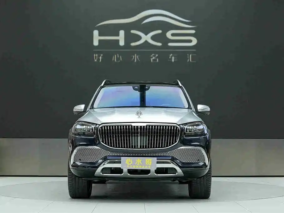 Mercedes-Benz Maybach GLS 2021 GLS 480 4MATIC фото 2