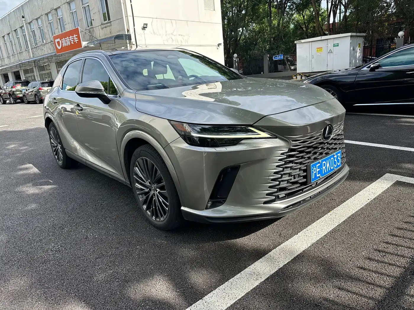 Photo 2 - Lexus RX