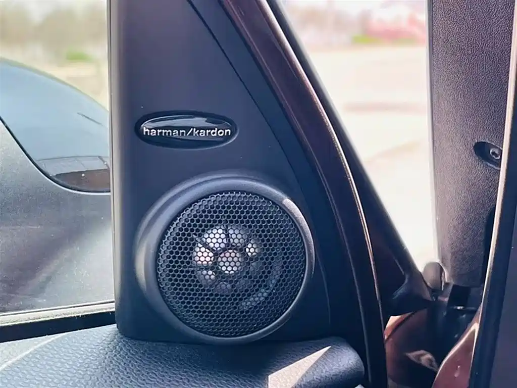 MINI PACEMAN