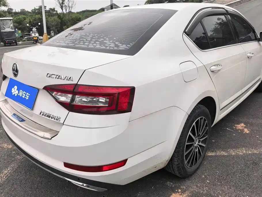 Škoda Octavia 2019 1.5L Automatic Luxury Edition фото 3