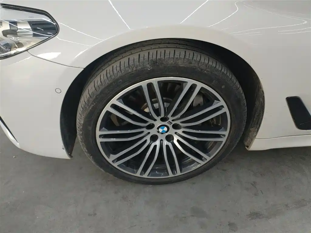 BMW 5 Series 2019 530Li Leading M Sport Package фото 23