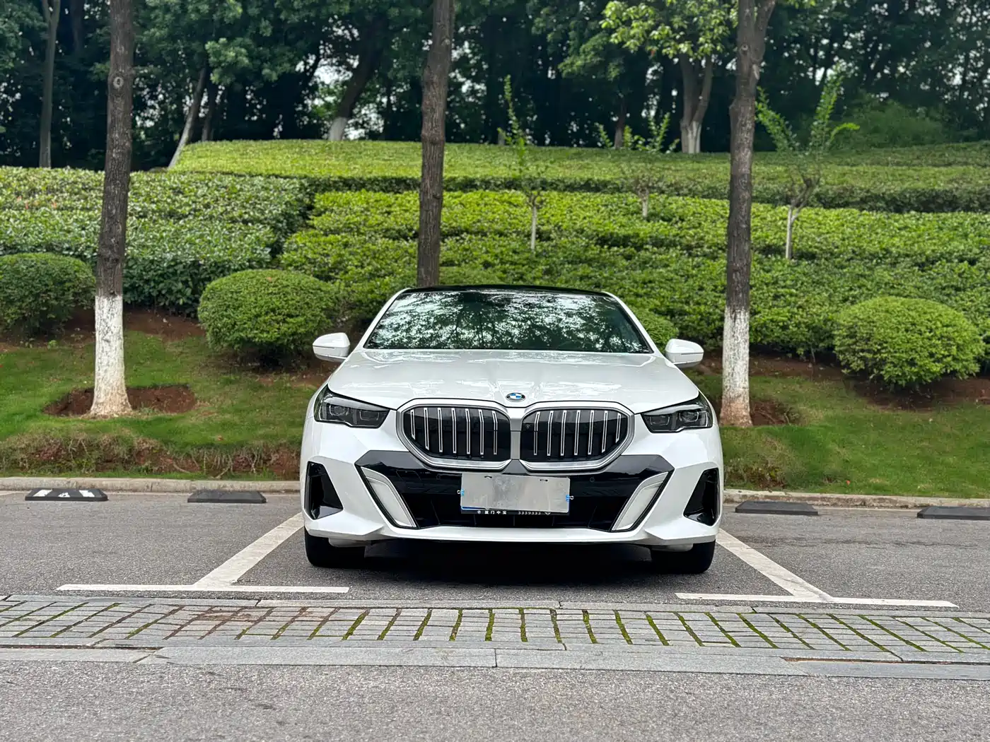 BMW 5 Series 2024 530Li Leading M Sport Package