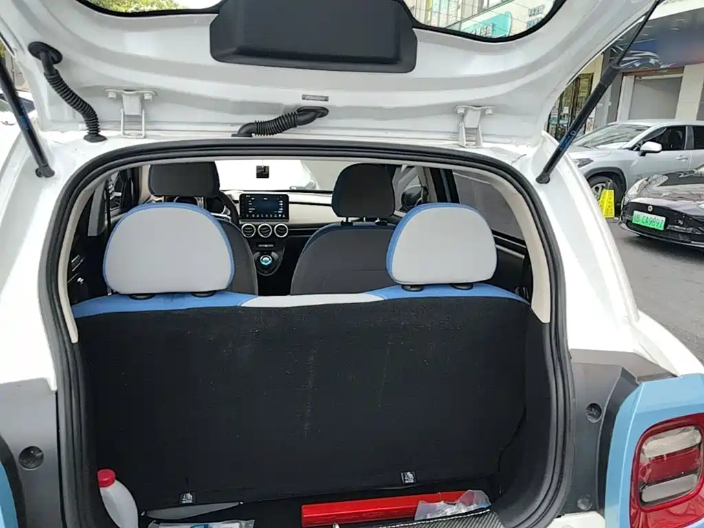 Ora Black Cat 2020 2019 Model 351km Smart Intelligence Edition