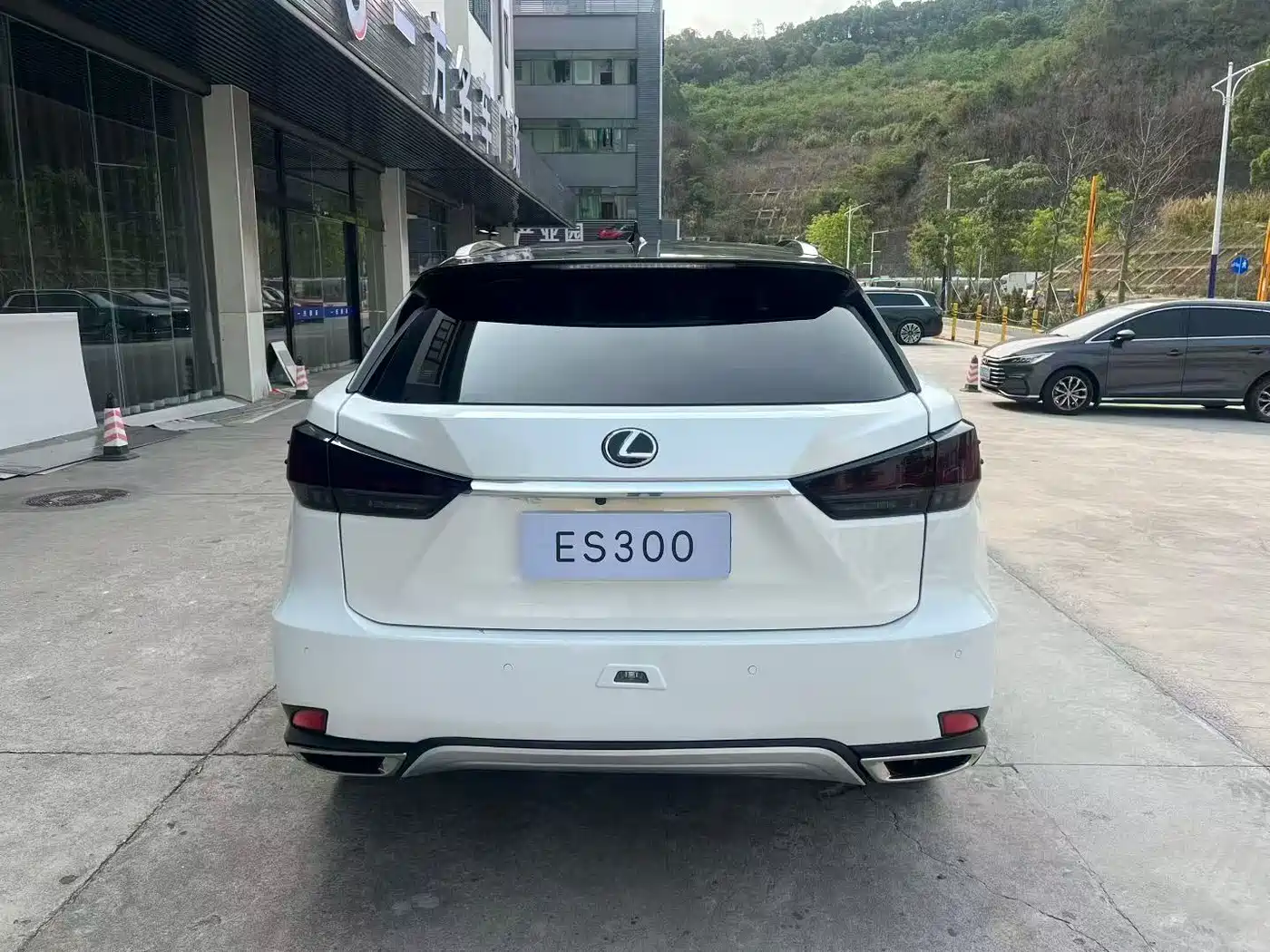 Lexus RX 2020 Facelift 300 AWD Elegance Edition фото 8