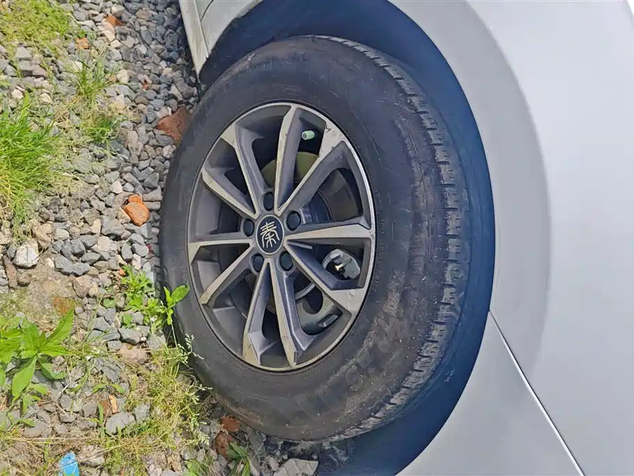 BYD Qin PLUS 2024 Glory Edition DM-i 55KM Leading фото 6