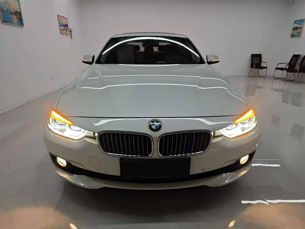 BMW 3 Series 2018 320Li Fashion Style фото 3