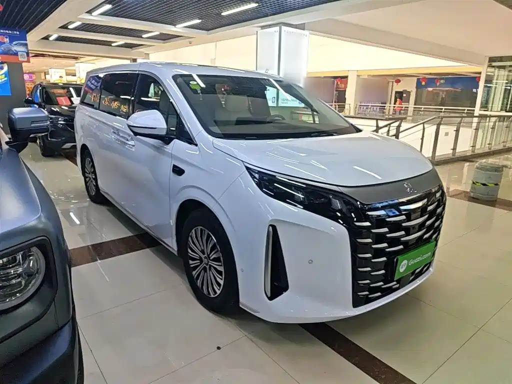 BYD Xia 2025 DM-i 1.5T 180km Surpass Edition фото 4