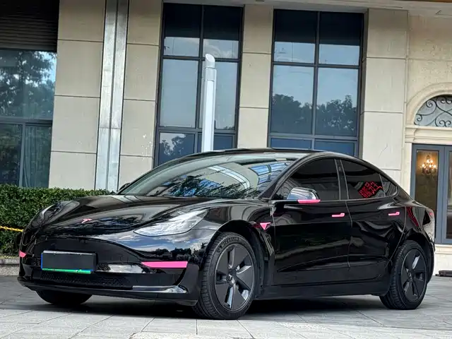 Tesla Model 3 2022 Model Rear-Wheel Drive Version