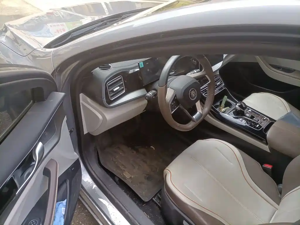 BYD Qin PLUS 2024 Glory Edition DM-i 120KM Leading фото 17