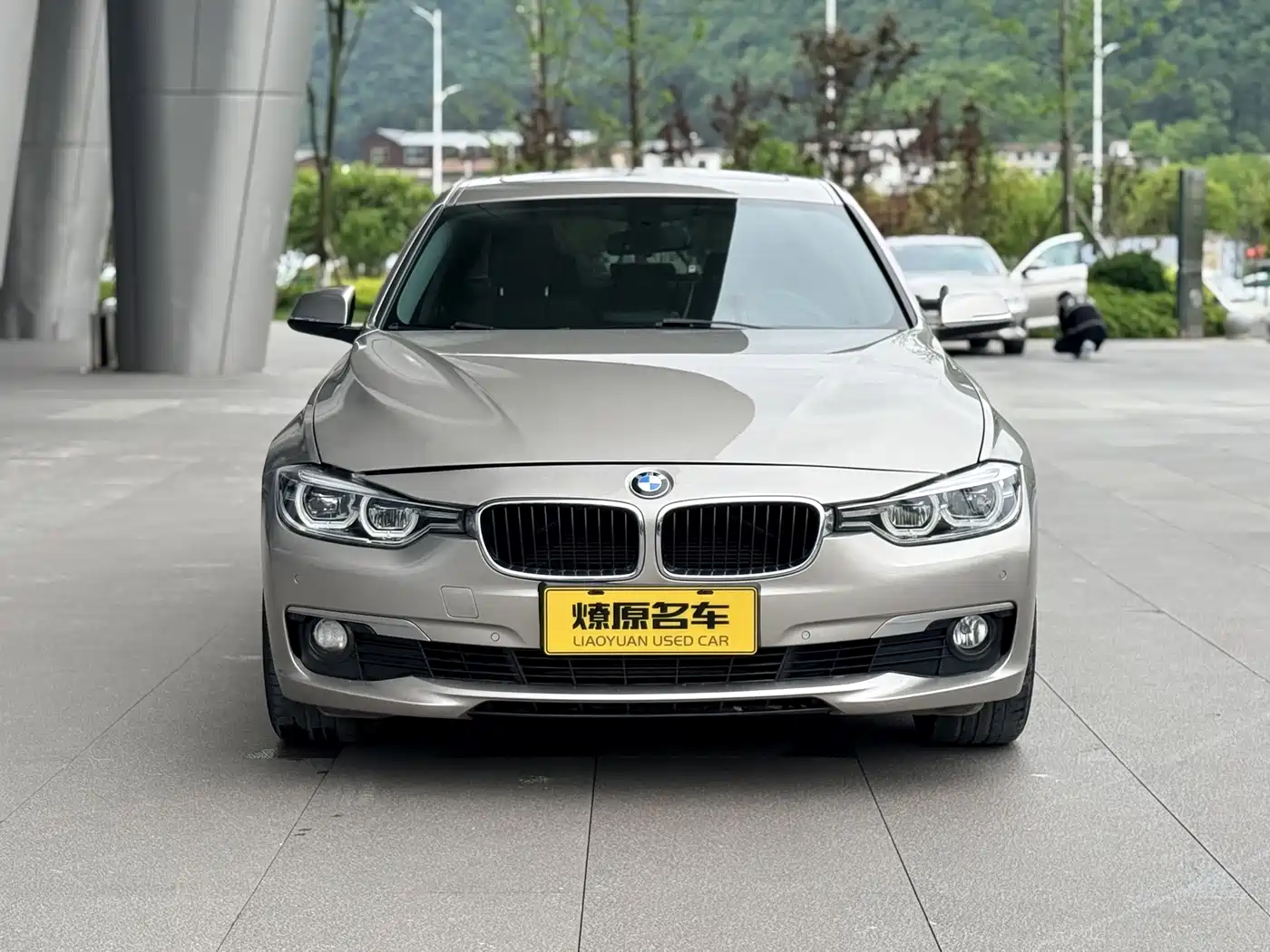 BMW 3 Series 2018 318Li фото 2