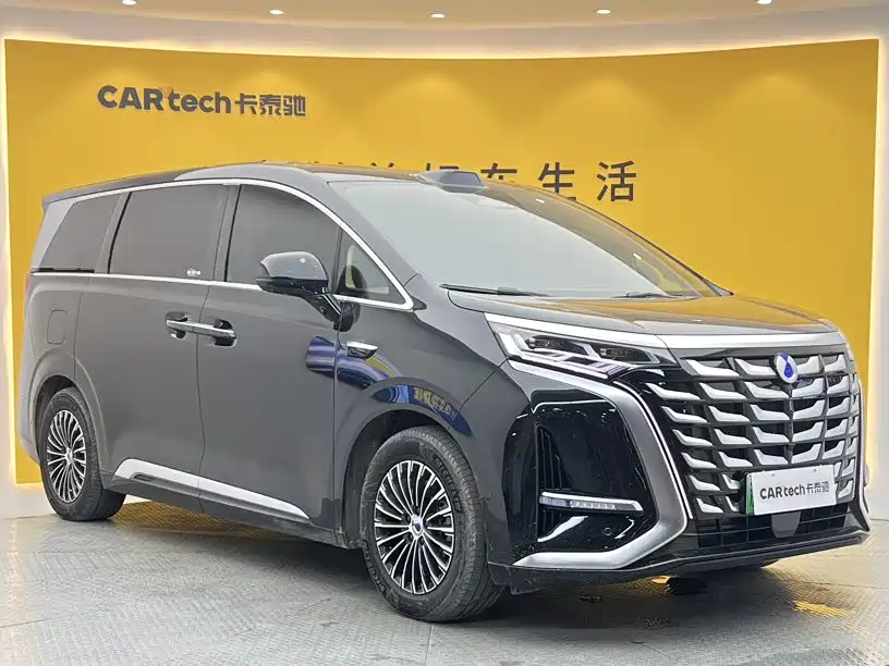 2026 Denza D9