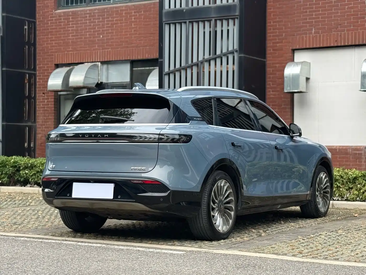 Voyah Free 2022 2021 AWD Standard Pure Electric Exclusive Luxury Package