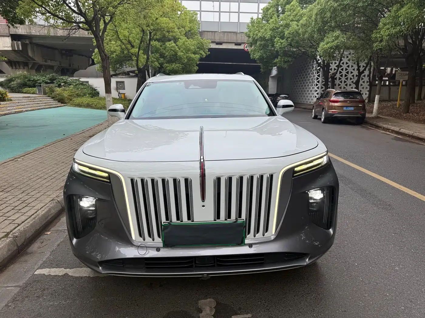 Hongqi E-HS9 2021 510km Flagship Edition 4-seater фото 2