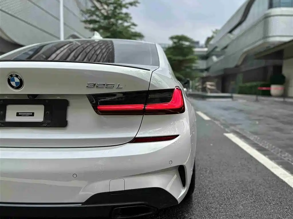 BMW 3 Series 2020 325Li M Sport Black Night Package фото 11