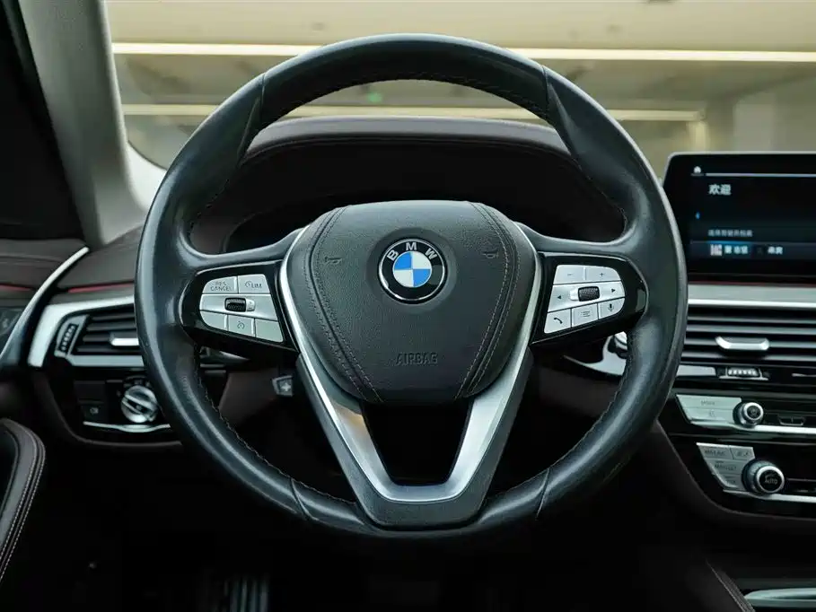 BMW 5 Series New Energy 2020 530Le Range Upgrade Luxury Package фото 17