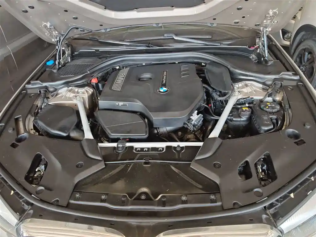 BMW 5 Series 2018 Facelift 530Li Leading Luxury Package фото 17