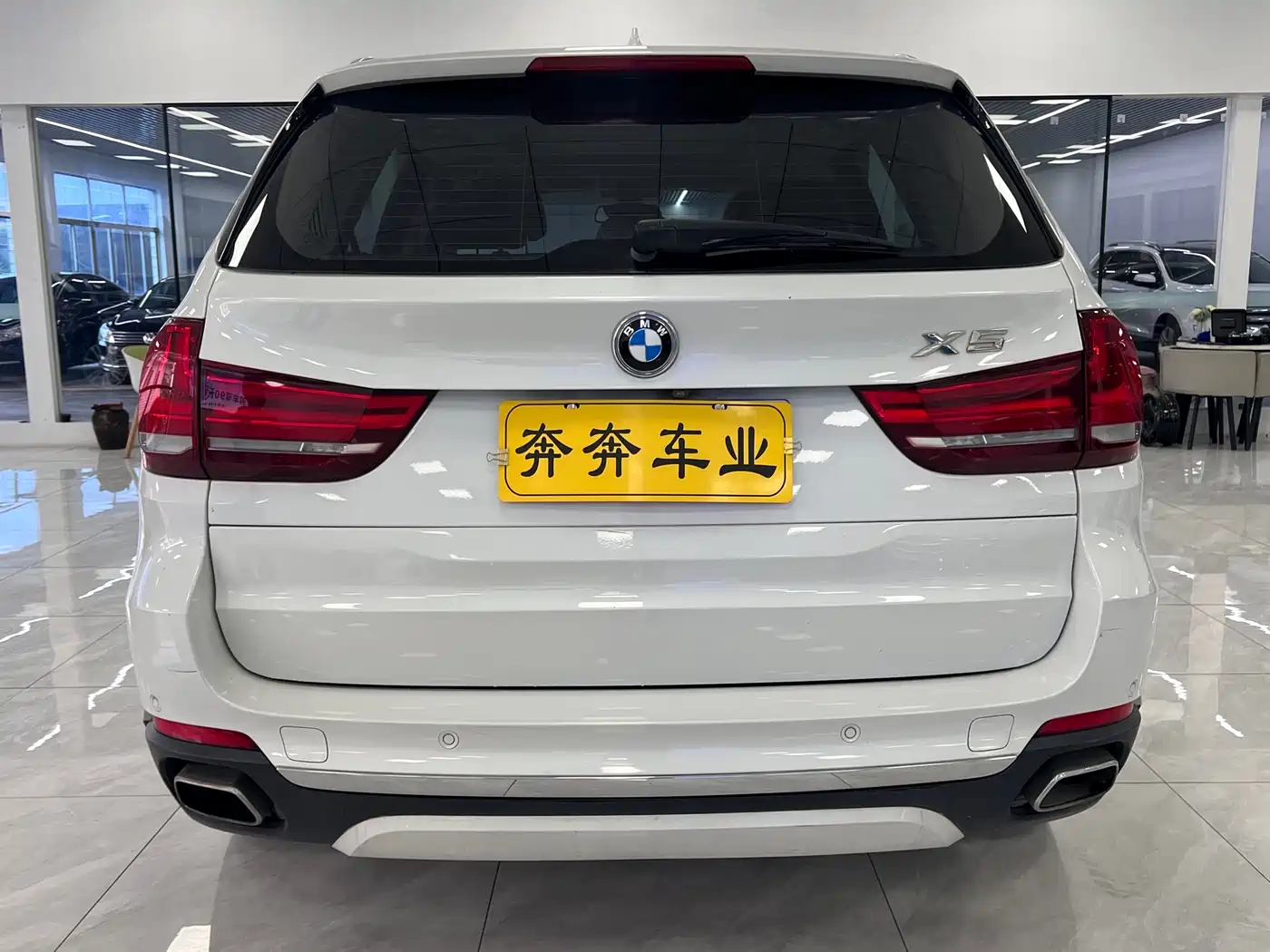 BMW X5 (Import) 2017 xDrive35i Elegance фото 6