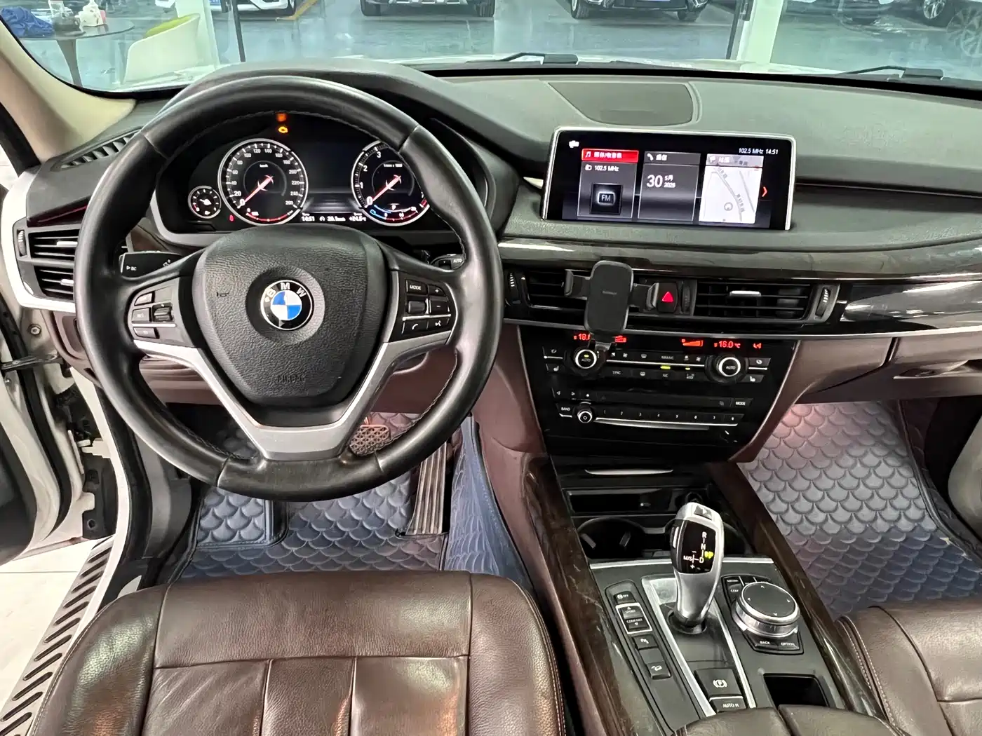 BMW X5 (Import) 2017 xDrive35i Elegance фото 13