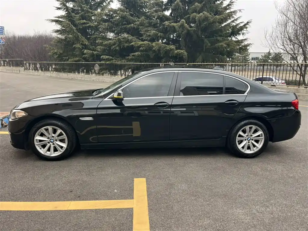BMW 5 Series 2014 520Li Elegance фото 8